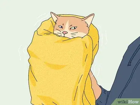 Imagen titulada Capture an Angry or Upset Cat Step 10