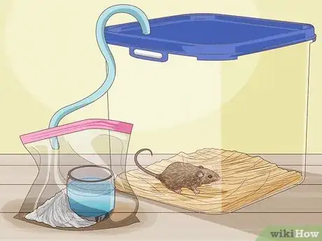 Imagen titulada Humanely Kill a Rodent Step 5