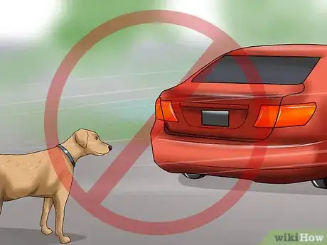 Imagen titulada Surrender a Dog Step 5