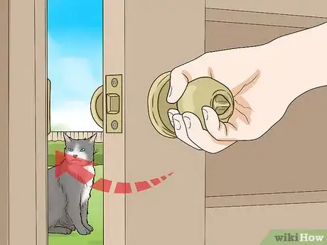 Imagen titulada Calm a Cat in Heat Step 2