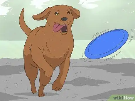 Imagen titulada Stop a Dog from Pawing Step 10