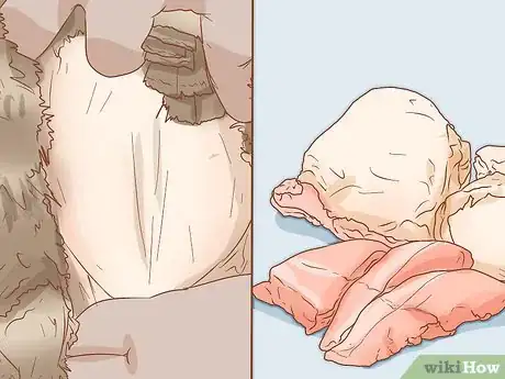 Imagen titulada Clean a Turkey Step 17