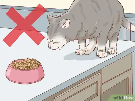 Imagen titulada Train a Cat Step 15