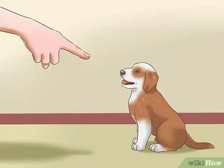 Imagen titulada Stop Dogs from Biting Step 4