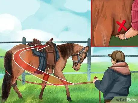 Imagen titulada Bond With Your Horse Using Natural Horsemanship Step 10