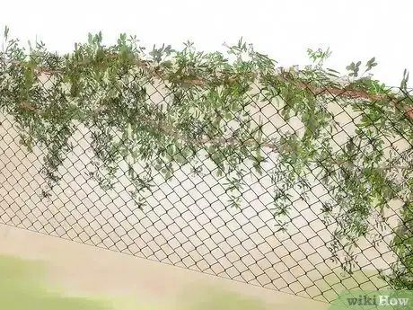 Imagen titulada Hide a Fence Step 1
