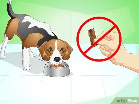 Imagen titulada Get Your Dog to Eat the Dog Food It Does Not Like Step 5
