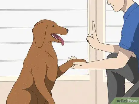 Imagen titulada Stop a Dog from Pawing Step 12