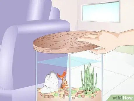 Imagen titulada Creatively Decorate a Freshwater Fish Tank Step 2
