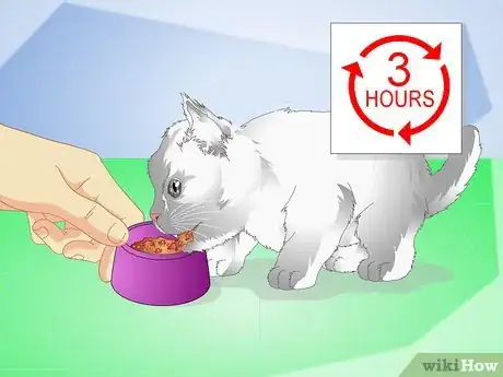 Imagen titulada Get Your Kitten to Eat Step 12