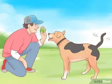 Imagen titulada Choose a Dog Step 4