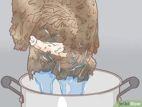 Imagen titulada Clean a Turkey Step 11