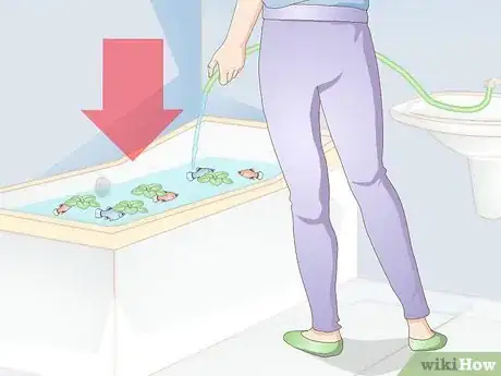 Imagen titulada Creatively Decorate a Freshwater Fish Tank Step 4