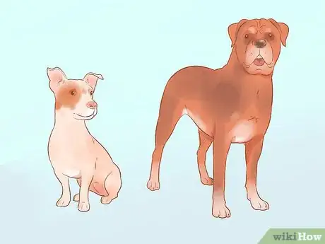 Imagen titulada Choose a Dog Step 6