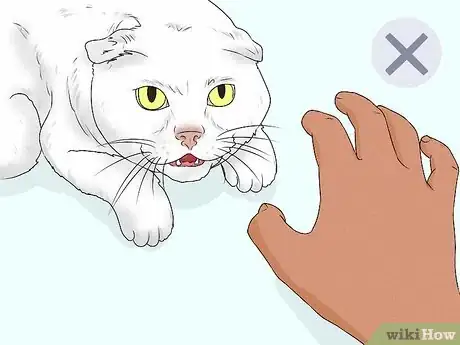 Imagen titulada Give Your Cat a Massage Step 4