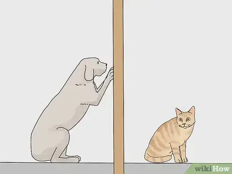 Imagen titulada Make a Cat and Dog Get Along Step 8