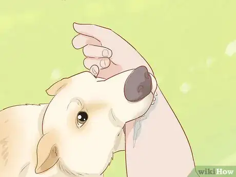 Imagen titulada Fight off a Dog Step 4