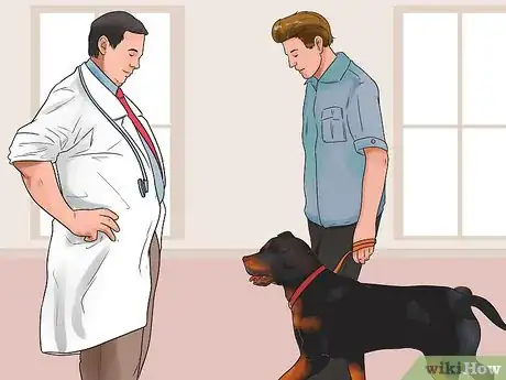 Imagen titulada Stop Dogs from Eating Dog Poop Step 2