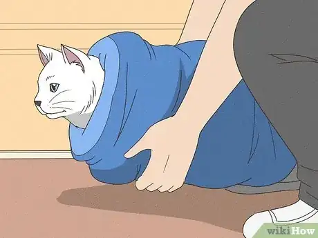 Imagen titulada Help a Cat with Epileptic Seizures Step 4