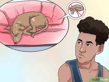Imagen titulada Rid Your Pet of Fleas Step 22