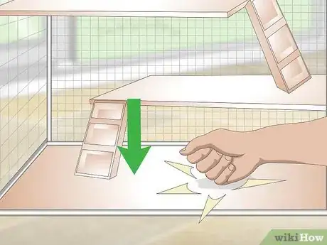 Imagen titulada Care for Chinchillas Step 2