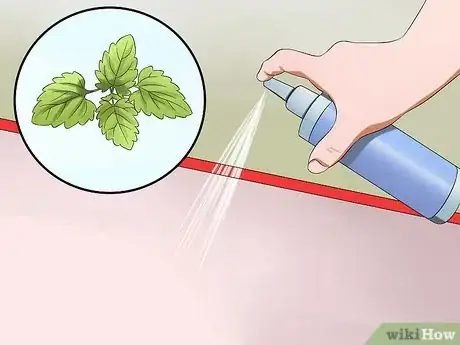 Imagen titulada Keep Cats off the Dinner Table Step 2