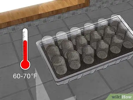 Imagen titulada Propagate Clematis Step 6