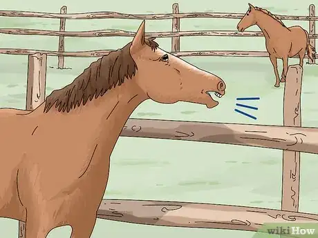 Imagen titulada Tell if a Horse Is Frightened Step 10