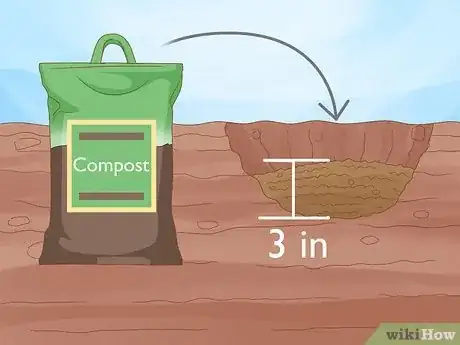 Imagen titulada Grow Monkey Grass from Seed Step 9