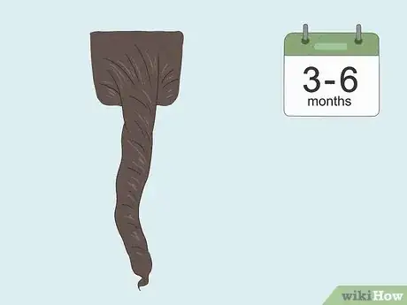 Imagen titulada Start Locs on Natural Hair Step 12