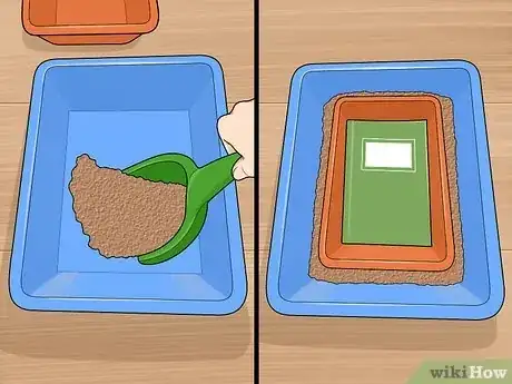Imagen titulada Remove the Mildew Smell from Books Step 5