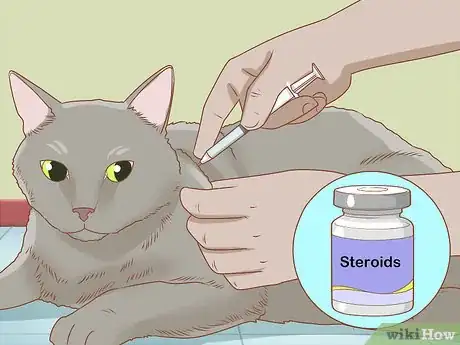 Imagen titulada Diagnose and Treat Rodent Ulcers in Cats Step 5