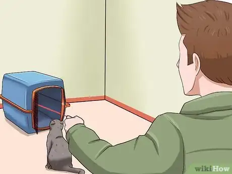 Imagen titulada Catch a Cat Step 10