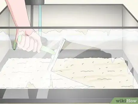 Imagen titulada Know when Your Goldfish Is Dying Step 9