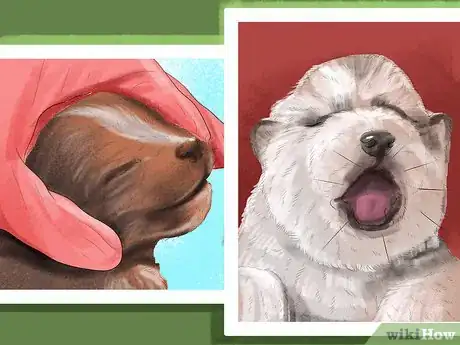 Imagen titulada Spot Health Problems in Newborn Puppies Step 9