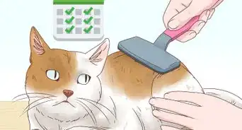 ayudar a un gato a toser una bola de pelo