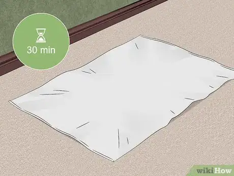 Imagen titulada Remove Iron Stains Step 8