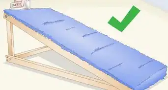 construir una rampa para perros