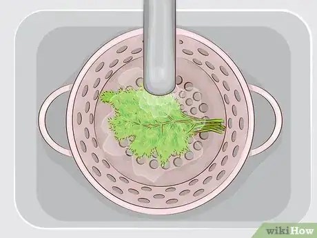 Imagen titulada Use Dill Step 1