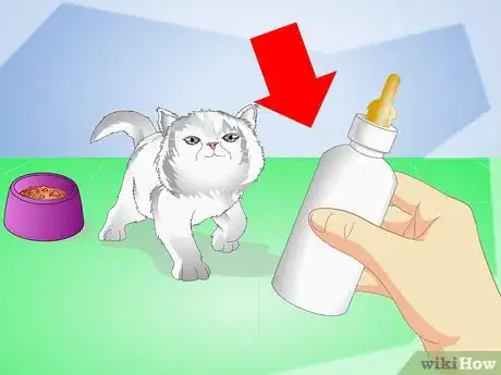 Imagen titulada Get Your Kitten to Eat Step 14