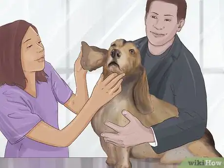 Imagen titulada Express a Dog's Anal Gland Step 4