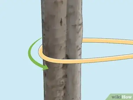 Imagen titulada Tie a Trucker's Hitch Step 4