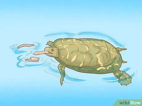 Imagen titulada Take Care of Baby Water Turtles Step 14