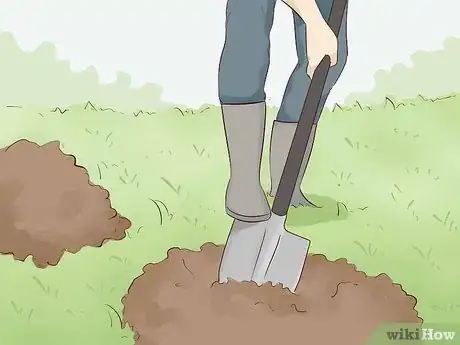 Imagen titulada Create a Rain Garden Step 10.jpeg