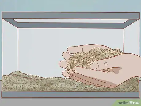Imagen titulada Take Care of Baby Water Turtles Step 10