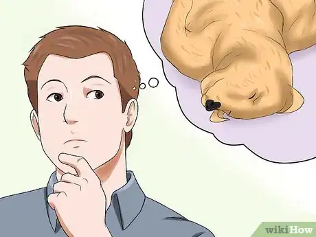 Imagen titulada Recognize a Stroke in Dogs Step 13