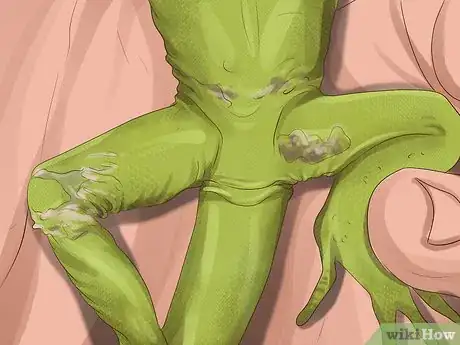 Imagen titulada Treat Reptiles for Vitamin A Deficiency Step 8