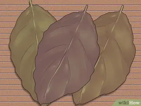 Imagen titulada Roll a Cigar Step 2