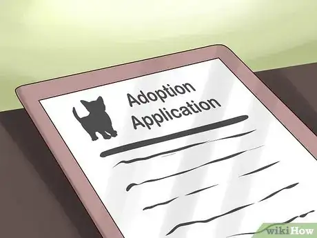 Imagen titulada Adopt a Kitten Step 14