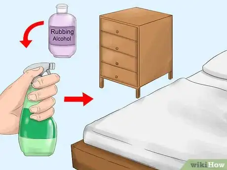 Imagen titulada Get Rid of Tropical Rat Mites on Pet Rats Step 3Bullet4